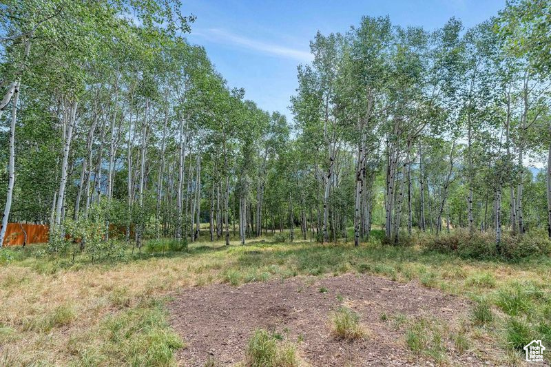 BEAVER SPRINGS - Residential
