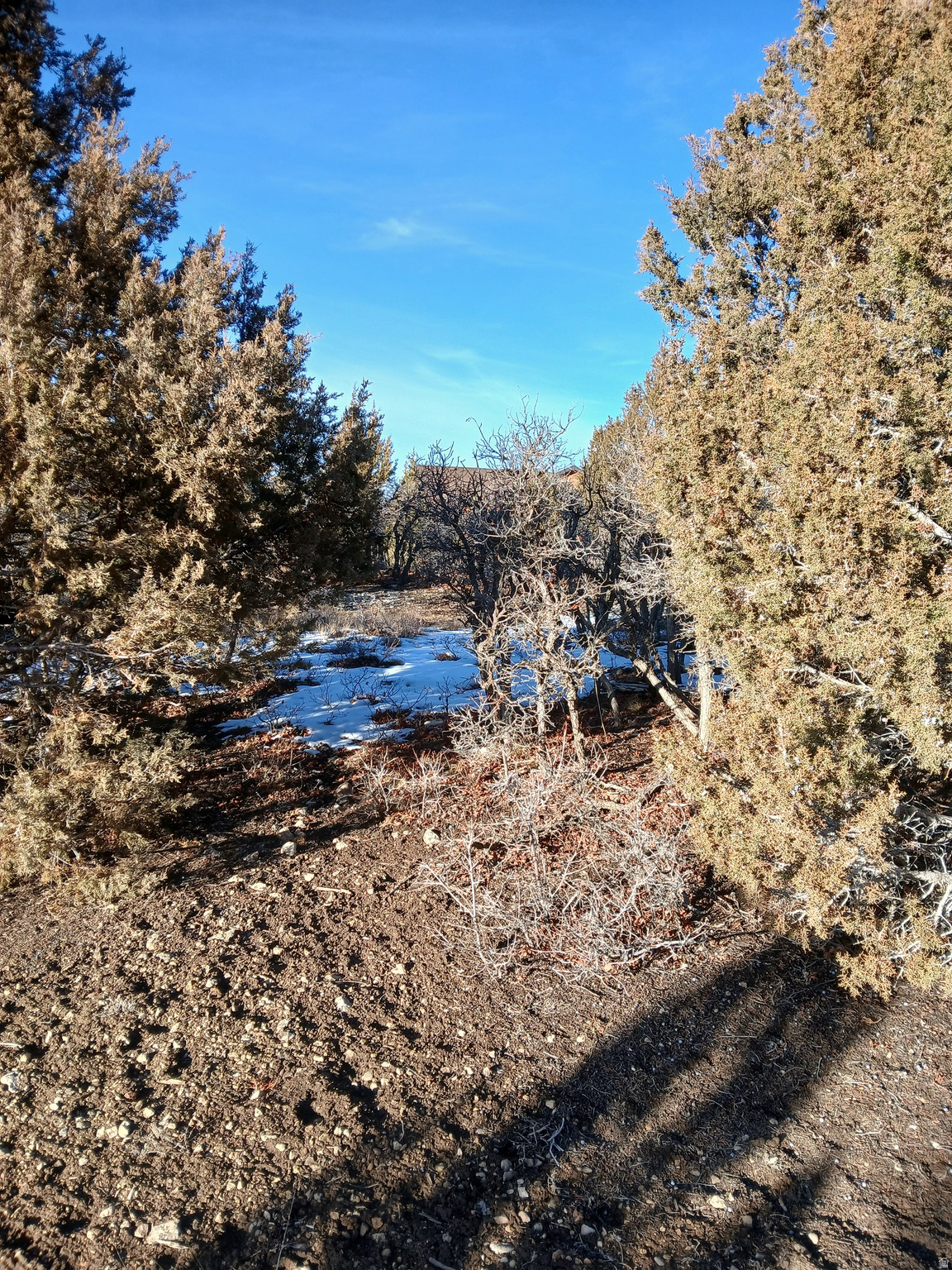 WHISPERING PINE SUBDIVISION - Land