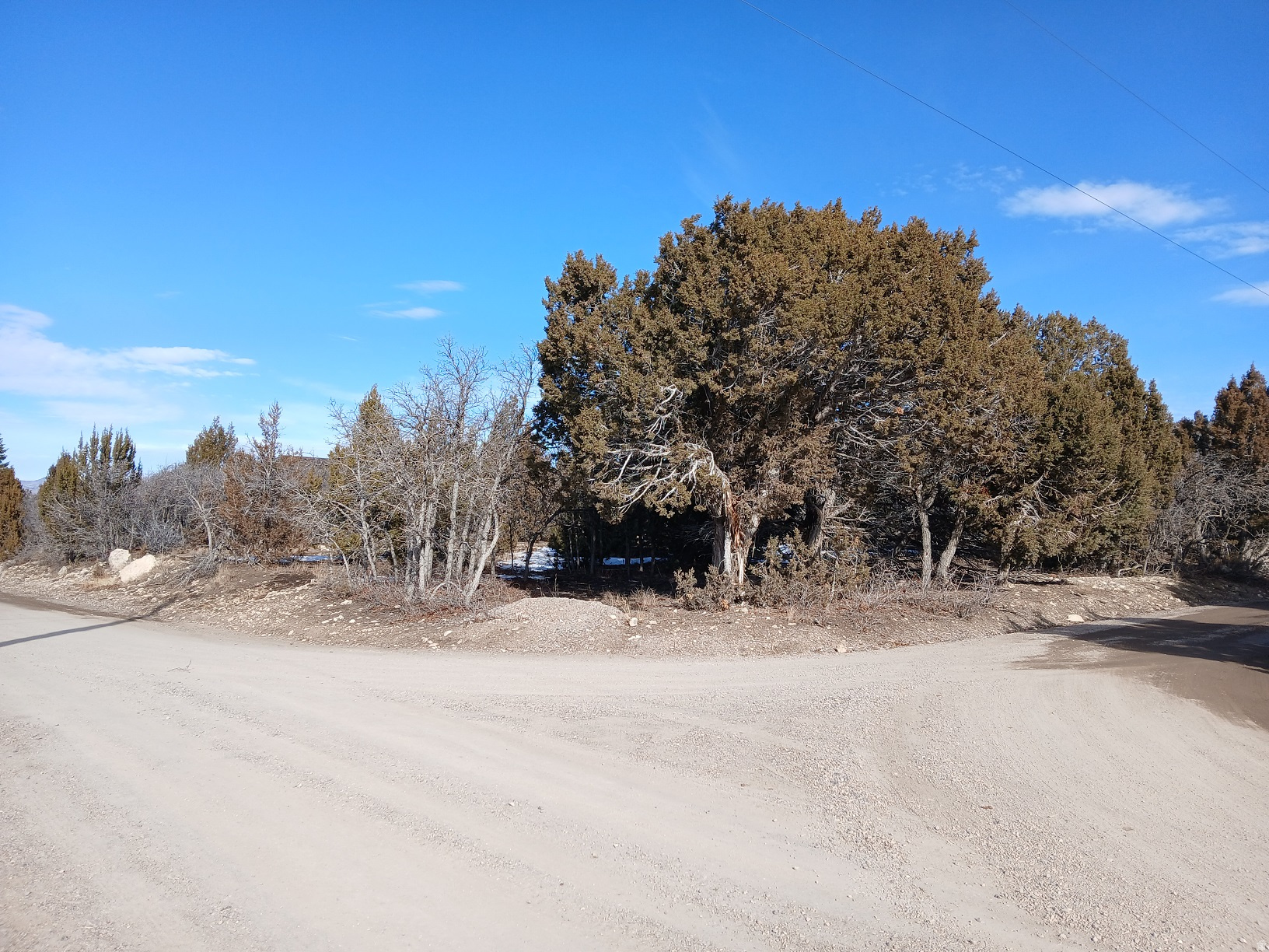 WHISPERING PINE SUBDIVISION - Land