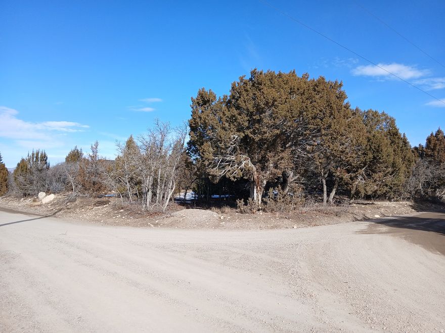 PRICED TO SELL!!  This is an incredible opportunity to own a prime building lot with true year-round access - no snowmobile required! Water and power are already at the lot, making your future build that much easier. Situated on a flat corner lot with access from two roads, this property offers breathtaking panoramic views of the Sanpete Valley. The lot has already been surveyed, giving you a clear path to start building. Whether you're planning a full-time residence or a mountain getaway, this property checks all the boxes - access, utilities, views, and value. Located in the Whispering Pines 3 GATED community. For HOA details, covenants, and community information, visit: whisperingpinespoa.com. Buyer and Buyers agent to verify all information.
