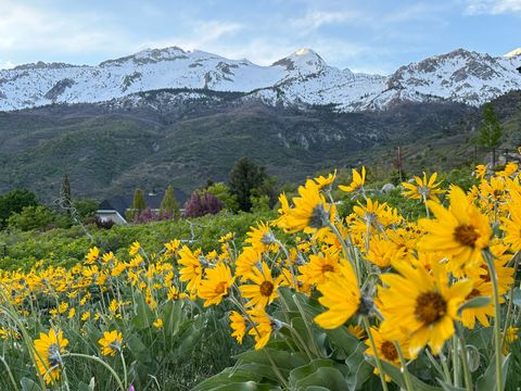 Photo of 1653 ROSANNA CIR, Alpine, UT 84004 (MLS # 2123081)