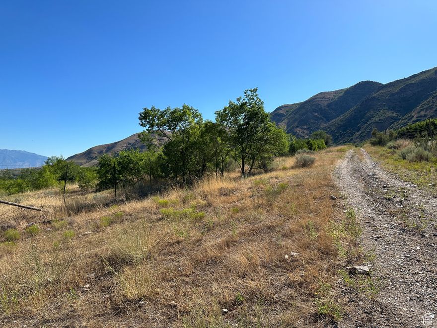 Great opportunity to own 53 acres in Santaquin! currently zoned for 5 acre lots. Water rights are included with amazing views!