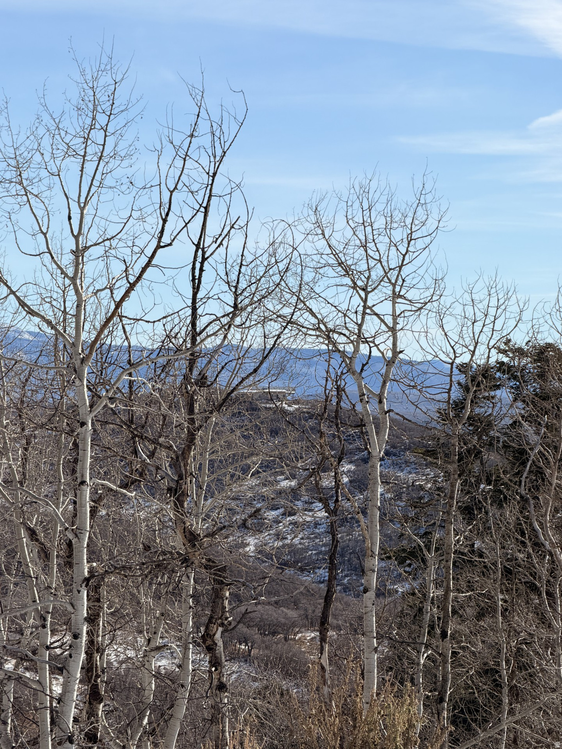 STAGECOACH ESTATES - Land