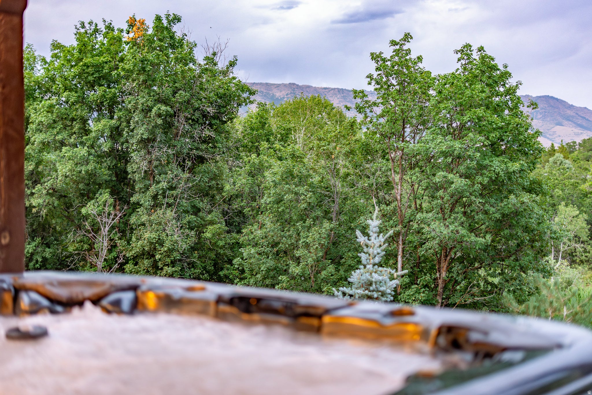 2548 Nordic Valley Dr, Eden, UT, 84310, USA, 5 Bedrooms Bedrooms, ,5 BathroomsBathrooms,Residential,Active,2548 Nordic Valley Dr,2166728