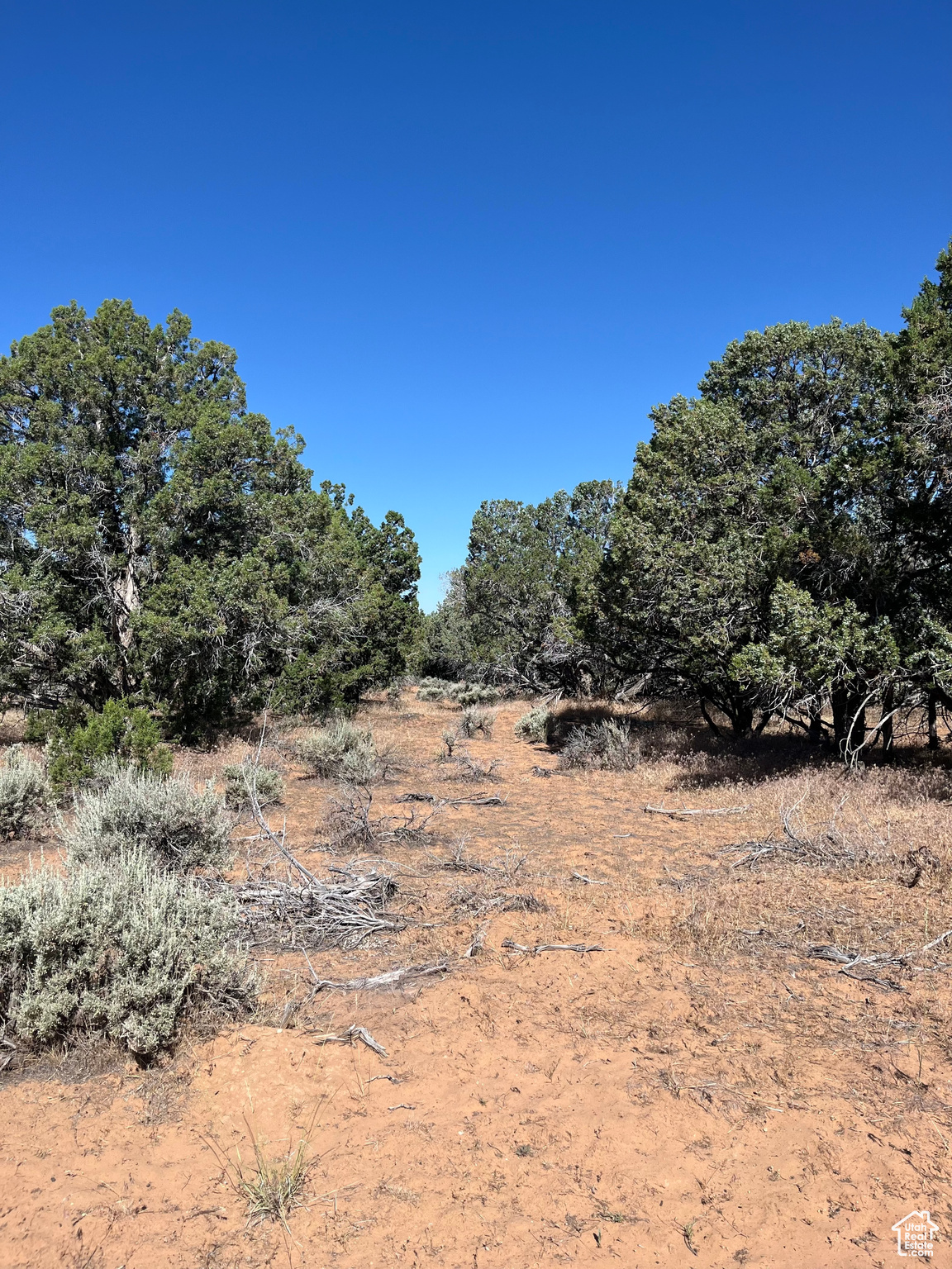 Land, Kanosh, Utah image 1