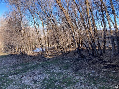 Tiny photo for 1040 S PINEVIEW DR #9, Woodland Hills, UT 84653 (MLS # 2072748)