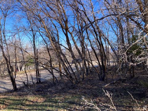 Tiny photo for 1040 S PINEVIEW DR #9, Woodland Hills, UT 84653 (MLS # 2072748)