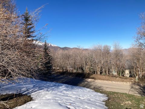 Tiny photo for 1040 S PINEVIEW DR #9, Woodland Hills, UT 84653 (MLS # 2072748)