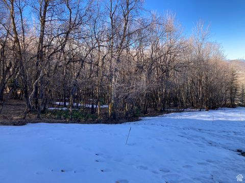 Tiny photo for 1040 S PINEVIEW DR #9, Woodland Hills, UT 84653 (MLS # 2072748)