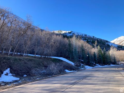 Tiny photo for 1040 S PINEVIEW DR #9, Woodland Hills, UT 84653 (MLS # 2072748)