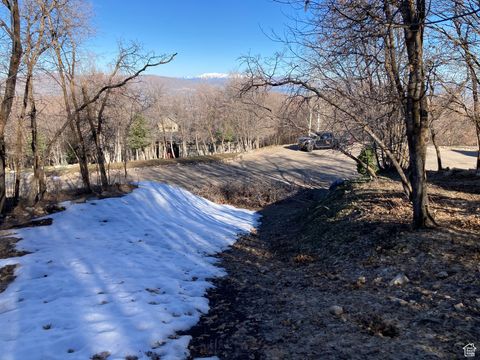 Tiny photo for 1040 S PINEVIEW DR #9, Woodland Hills, UT 84653 (MLS # 2072748)