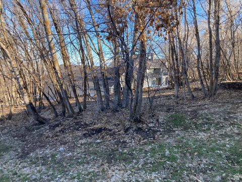 Tiny photo for 1040 S PINEVIEW DR #9, Woodland Hills, UT 84653 (MLS # 2072748)