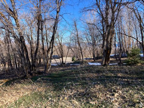 Tiny photo for 1040 S PINEVIEW DR #9, Woodland Hills, UT 84653 (MLS # 2072748)