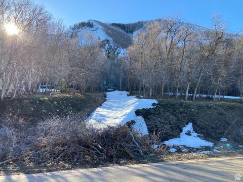 Tiny photo for 1040 S PINEVIEW DR #9, Woodland Hills, UT 84653 (MLS # 2072748)