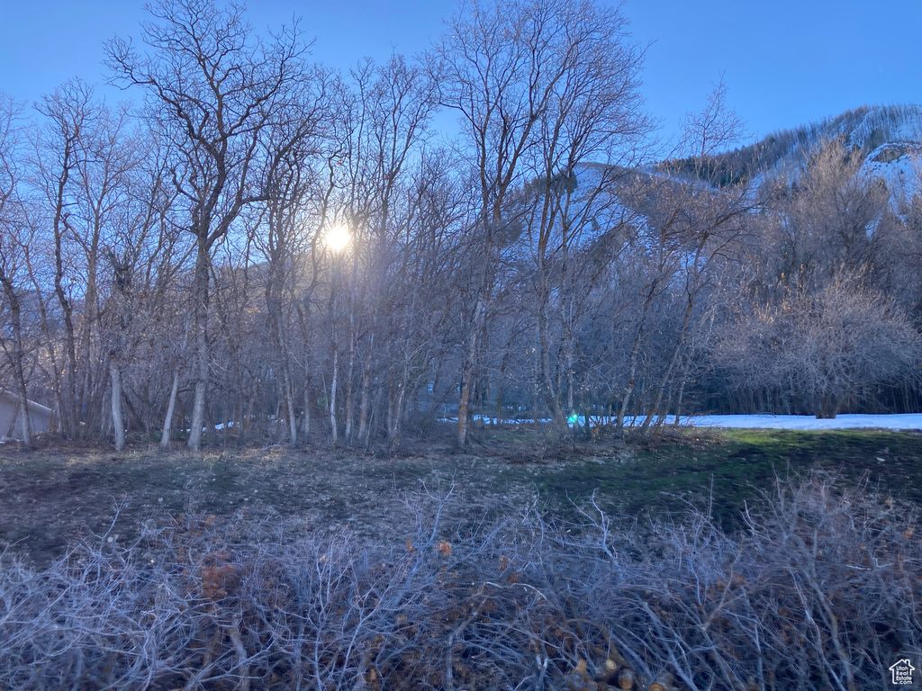 Photo for 1040 S PINEVIEW DR #9, Woodland Hills, UT 84653 (MLS # 2072748)