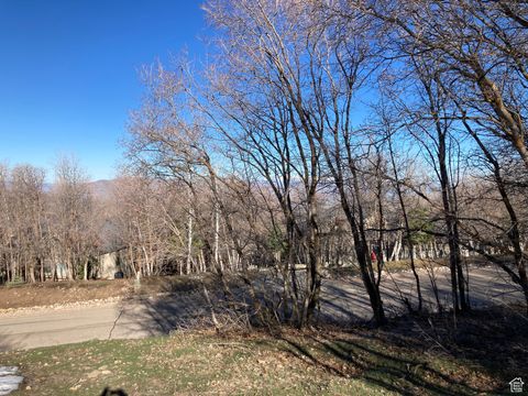 Tiny photo for 1040 S PINEVIEW DR #9, Woodland Hills, UT 84653 (MLS # 2072748)