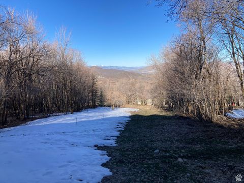 Tiny photo for 1040 S PINEVIEW DR #9, Woodland Hills, UT 84653 (MLS # 2072748)