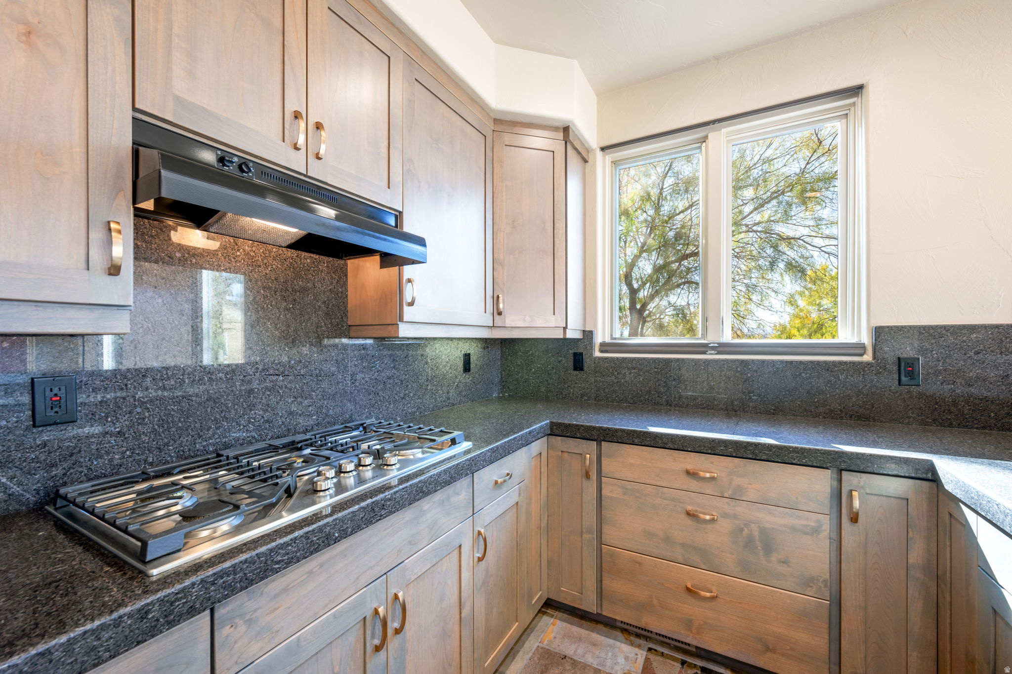 PAIUTE SPRINGS AT ENTRADA - Residential