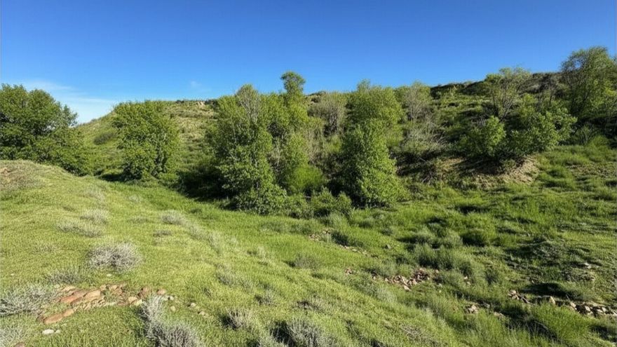 Build your legacy with this rare 30.40 acre opportunity in Duchesne County, offering the ideal setup for self-sufficient living and long-term investment potential. Surrounded by rugged Utah beauty, this property combines privacy with convenience, just 2 minutes from Big Sand Wash, 15 minutes to Roosevelt, and only 70 minutes to Heber City. A unique advantage is the nearby domestic and wild game meat processing facility, making this location especially appealing for hunters, ranchers, or those seeking a true off-grid lifestyle with practical support close by. The land features natural springs on-site, providing a valuable water source to support your self-reliance goals. Recreation is at your doorstep with Starvation Reservoir just a 20-minute drive offering year round opportunities for fishing, boating, and camping. If the current house plans aren't exactly what you envision, the seller offers flexibility to design and build a completely customized layout giving buyers the opportunity to create their dream homestead from the ground up. Whether you're looking to build, invest, or establish a legacy property, this acreage delivers a rare combination of functionality, location, and lifestyle.