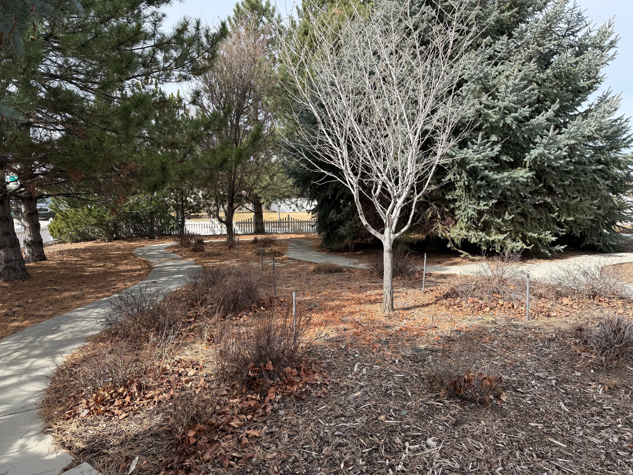 SHADOW MOUNTAIN WEST - Residential