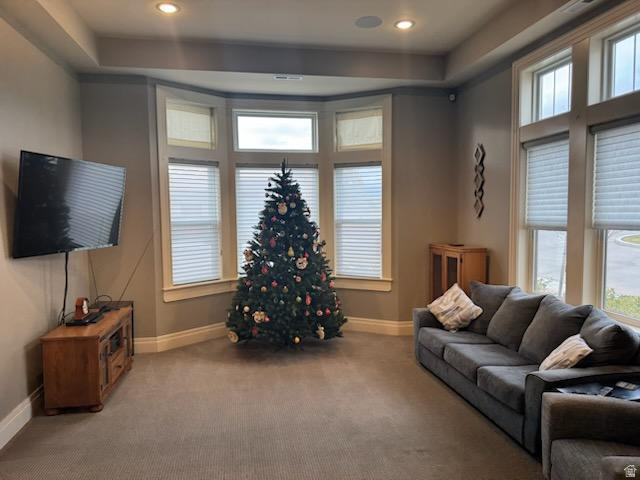 BLACKSTONE TOWNHOMES - Residential