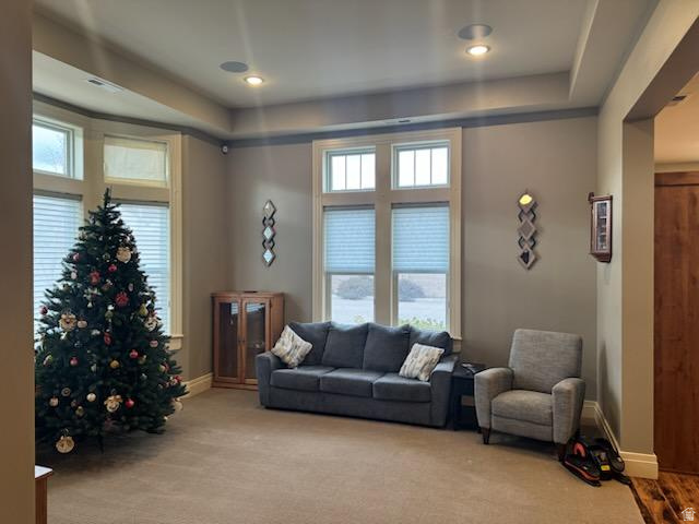 BLACKSTONE TOWNHOMES - Residential