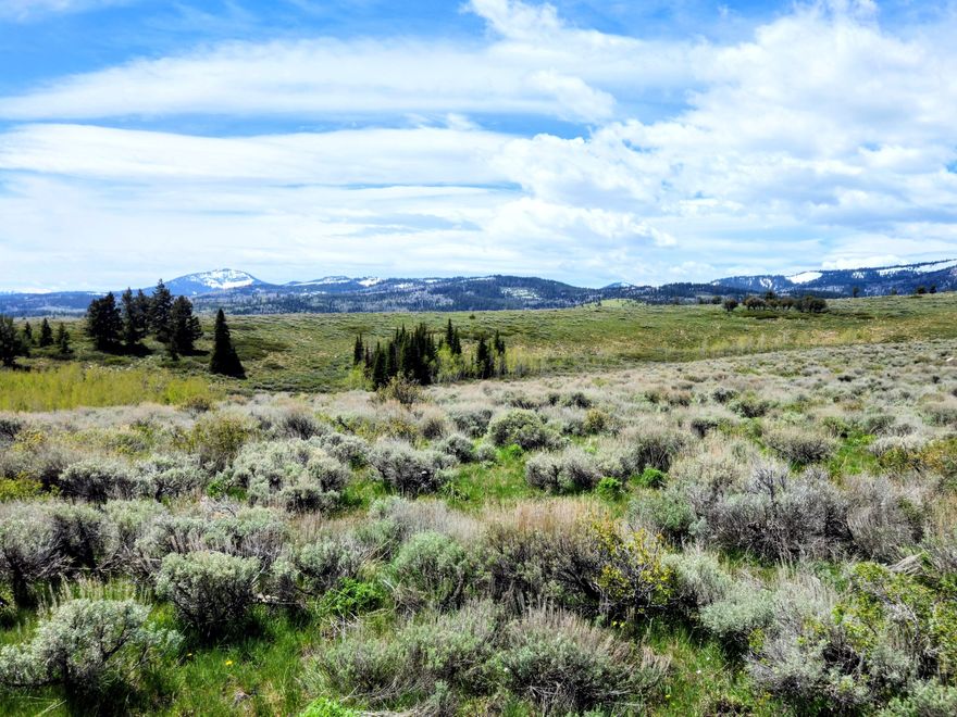 40.05 acres overlooking the Bear Lake Valley, with stunning views of the surrounding mountains. Property borders the National Forest and close to miles of UTV trails. Mature trees are scattered over the property with an additional 16+ acres available. Contact listing agent for more info and to schedule your showings. No utilities and no year round access