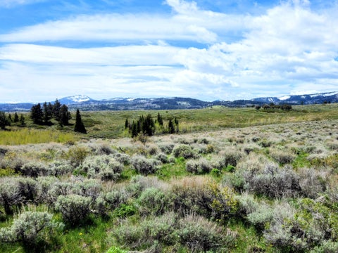 Vacant Land For Sale - 4005 Mill Canyon Rd<br/> Montpelier, ID 83254