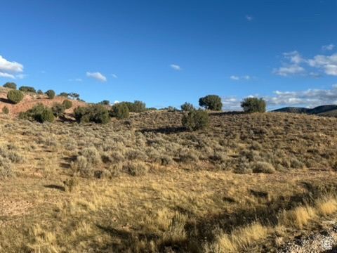 Vacant Land For Sale - 13051 S Red Canyon Rd #3<br/> Juab County, Levan, UT 84639