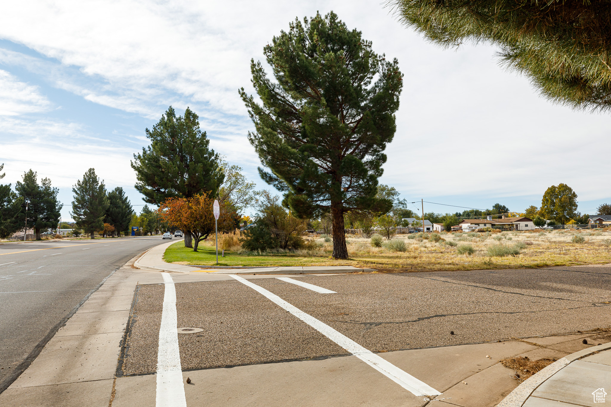 295 N Main St, Fredonia, Arizona image 4