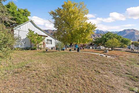 Photo of 525 E 200 N, Pleasant Grove, UT 84062 (MLS # 2118929)