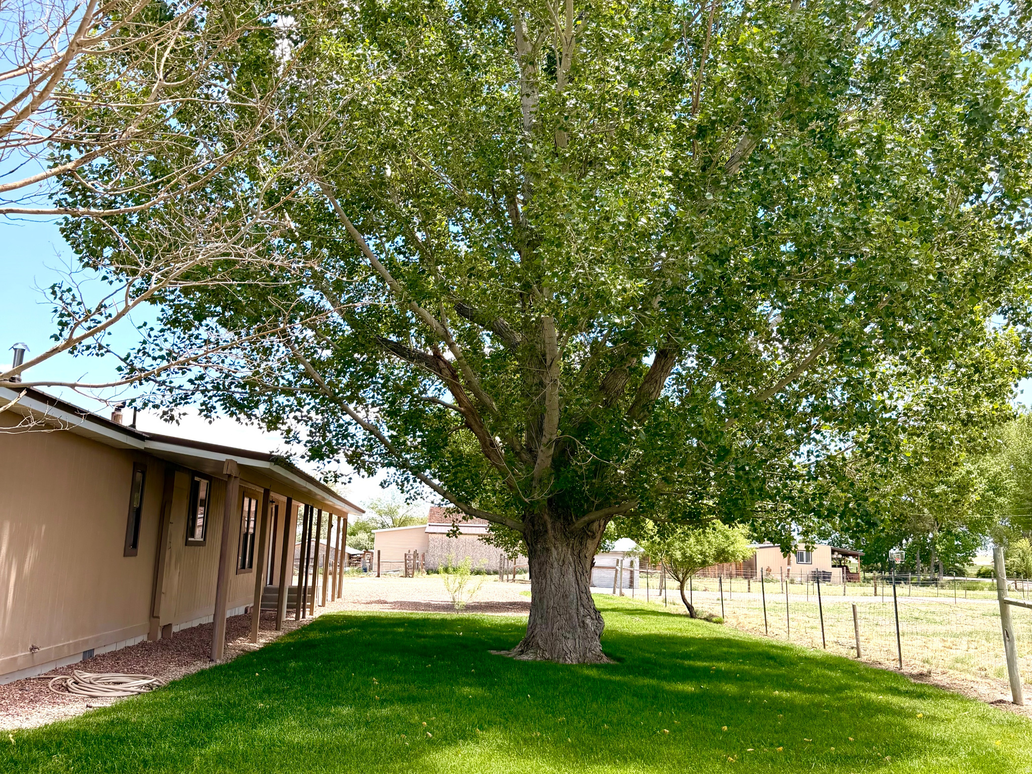 GREENVALLEY NO 2 SUBDIVISION - Residential