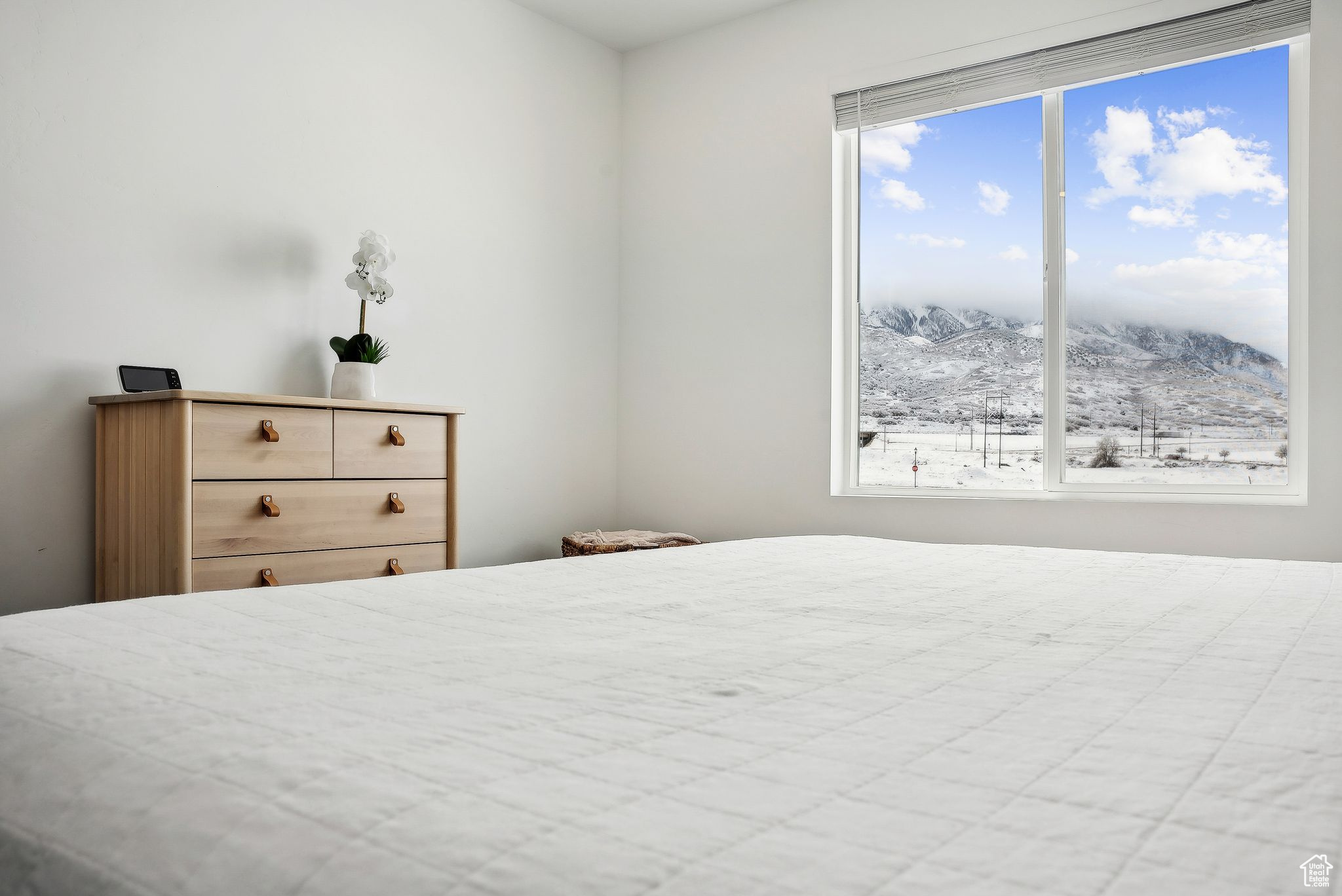 957 W Fox Run Ave, Santaquin, Utah image 12