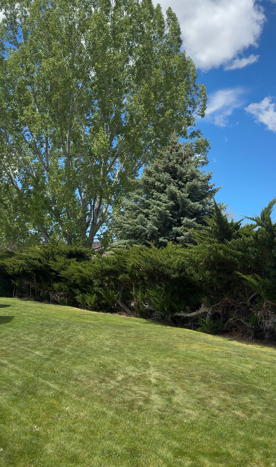 OGDEN - Residential