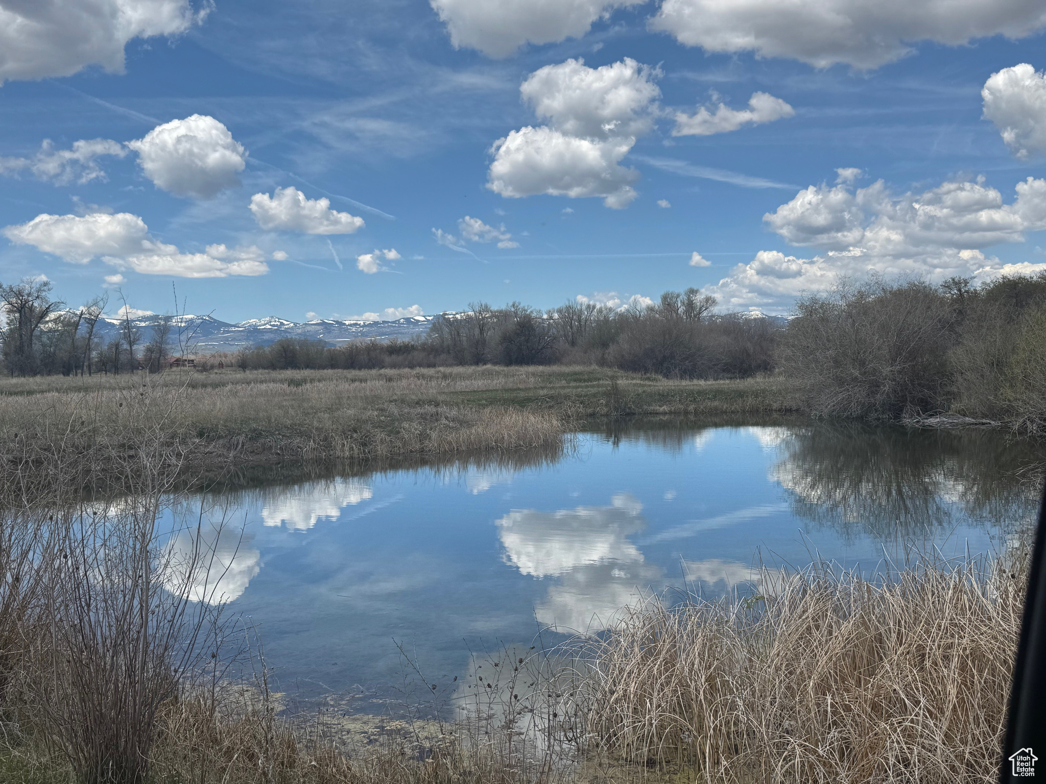 Land, Dingle, Idaho image 25