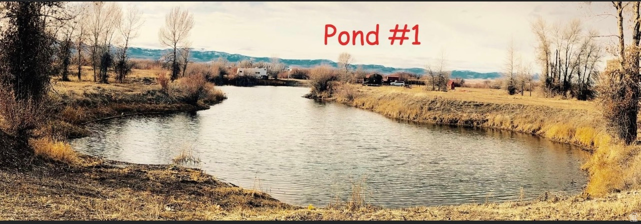 Land, Dingle, Idaho image 5