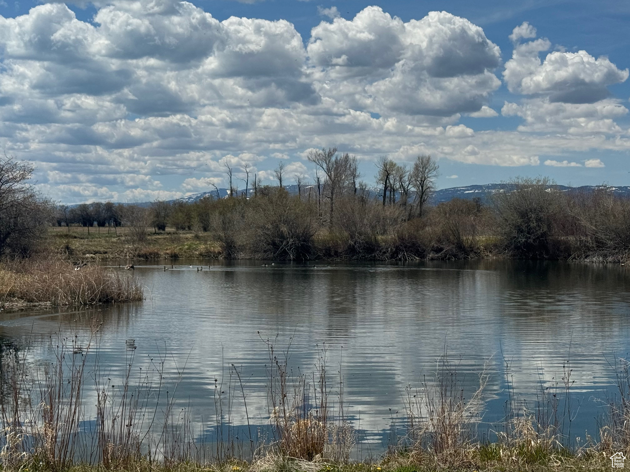 Land, Dingle, Idaho image 28