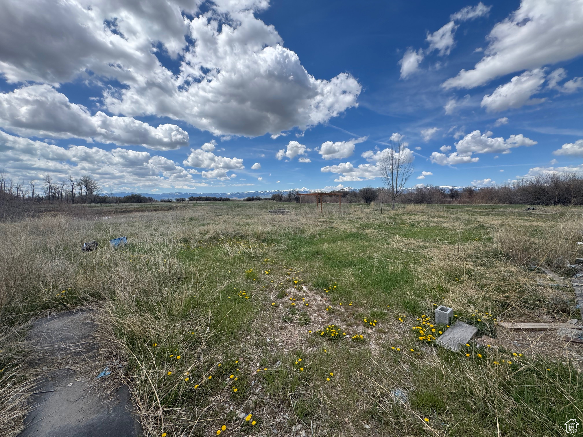 Land, Dingle, Idaho image 38
