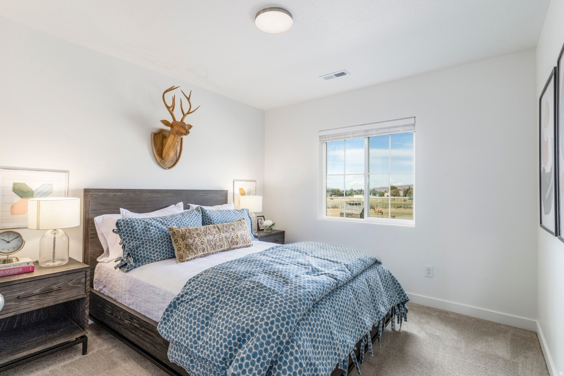 FRANICS COMMONS SUBDIVISION - Residential