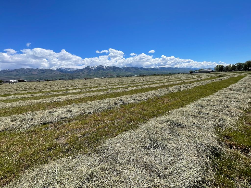 Photo of 750 N MAIN, Lewiston, UT 84320 (MLS # 2159046)