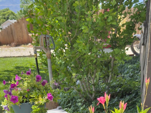 Tiny photo for 157 N 200 E, Richfield, UT 84701 (MLS # 2164140)