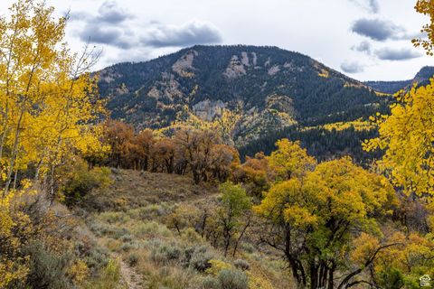 Vacant Land For Sale - 672 Carson Ln<br/> Oakley, UT 84055