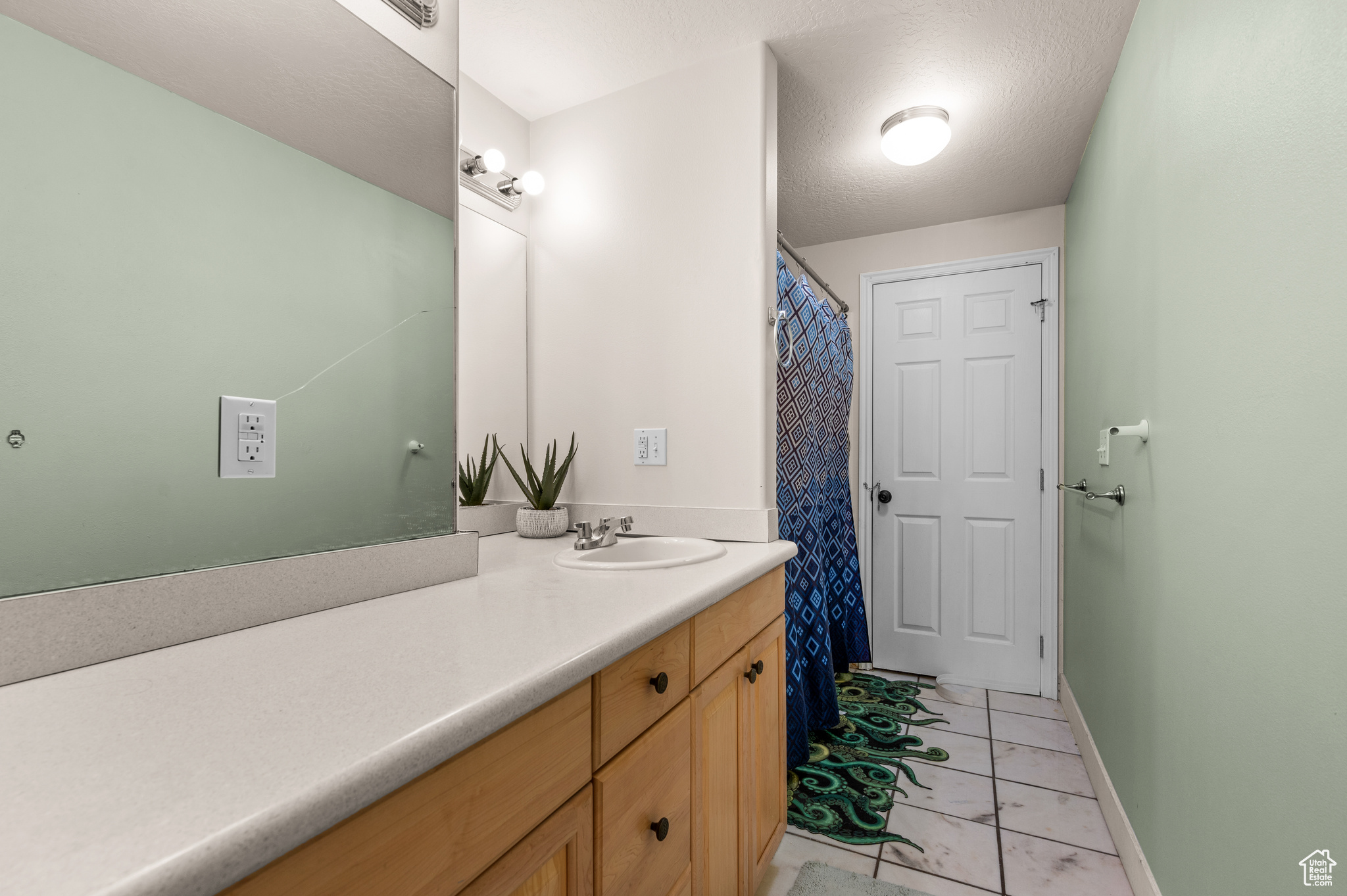 2661 E 1620, Spanish Fork, Utah image 21