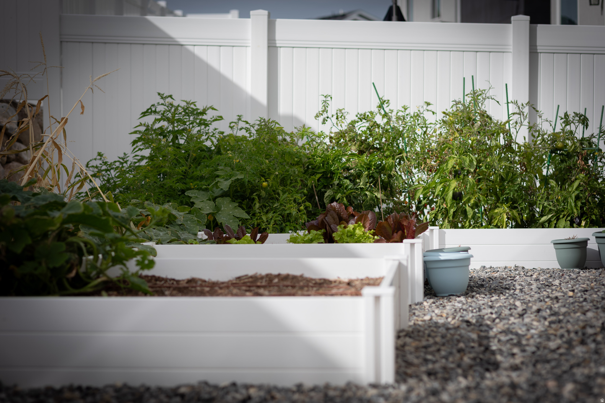 LITTLE VALLEY - Residential