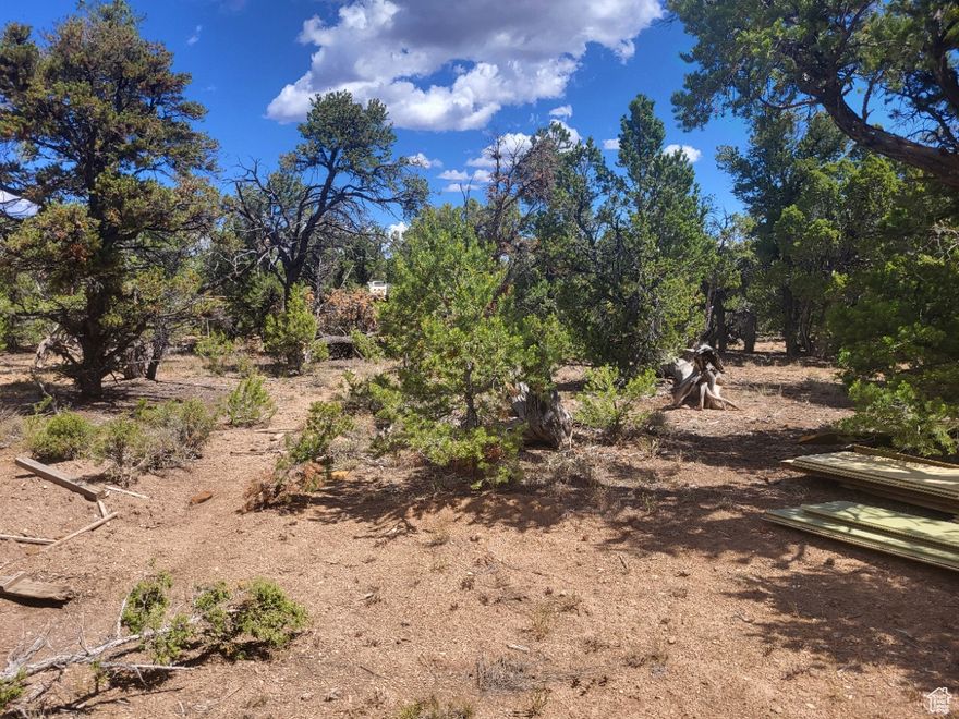 Rare wooded lot with a seep well stream on the property, adjacent to a county road for winter access. Mostly flat lot with utilities nearby. It's a fantastic location for recreation.  GPS Coordinates: 40.1734, -110.66541