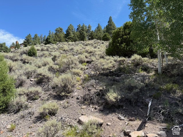 BEAVER DAM ESTATES - Land