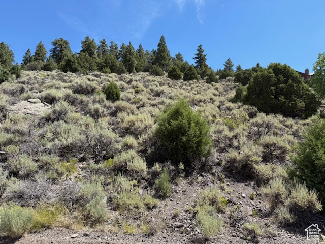 BEAVER DAM ESTATES - Land