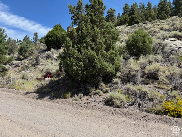 BEAVER DAM ESTATES - Land