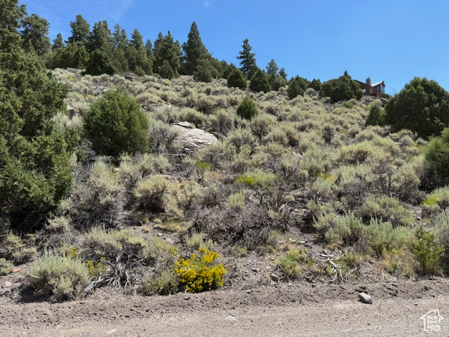 BEAVER DAM ESTATES - Land