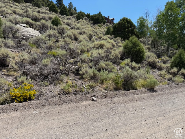 BEAVER DAM ESTATES - Land